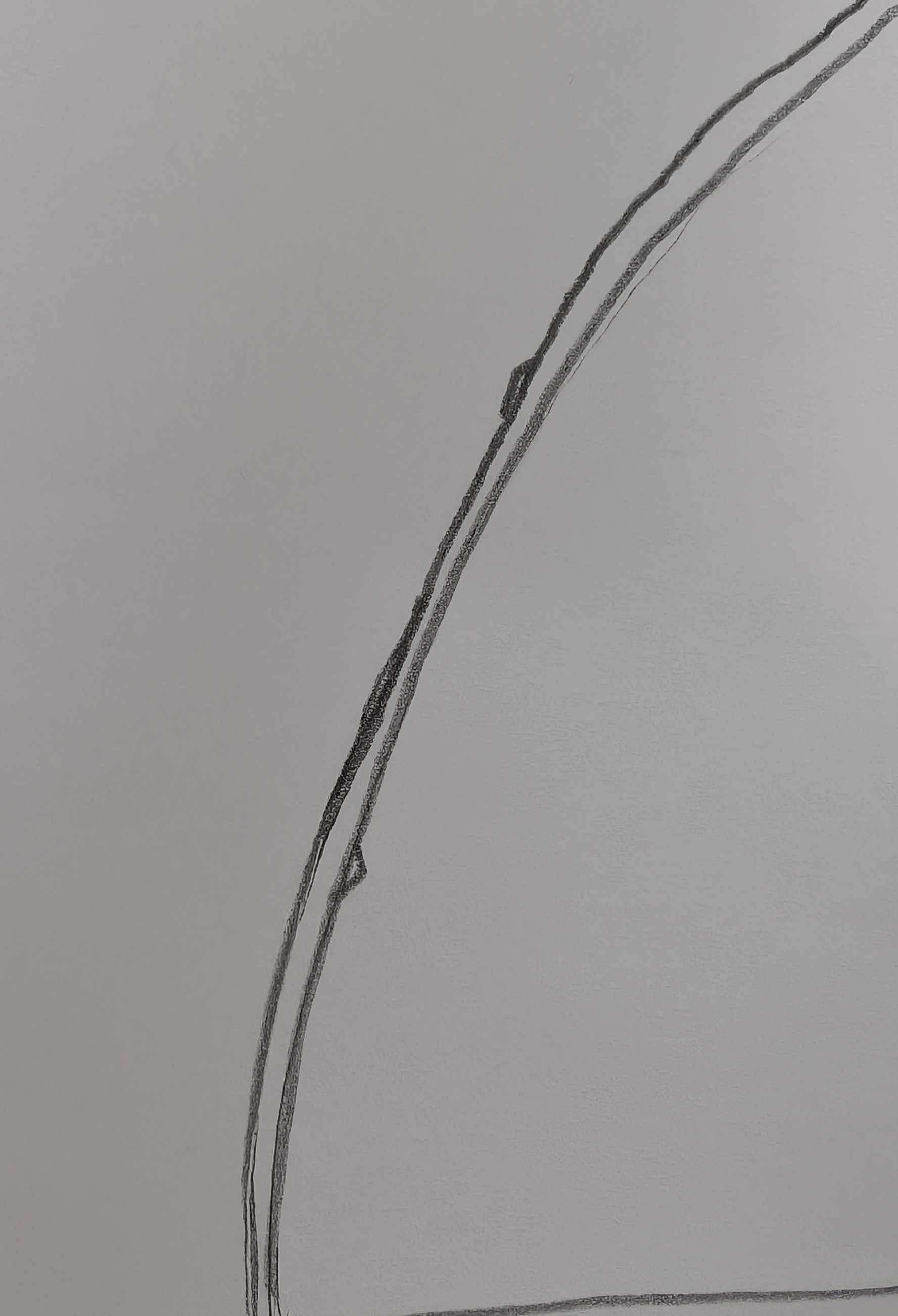 vine connecting multiple leaves